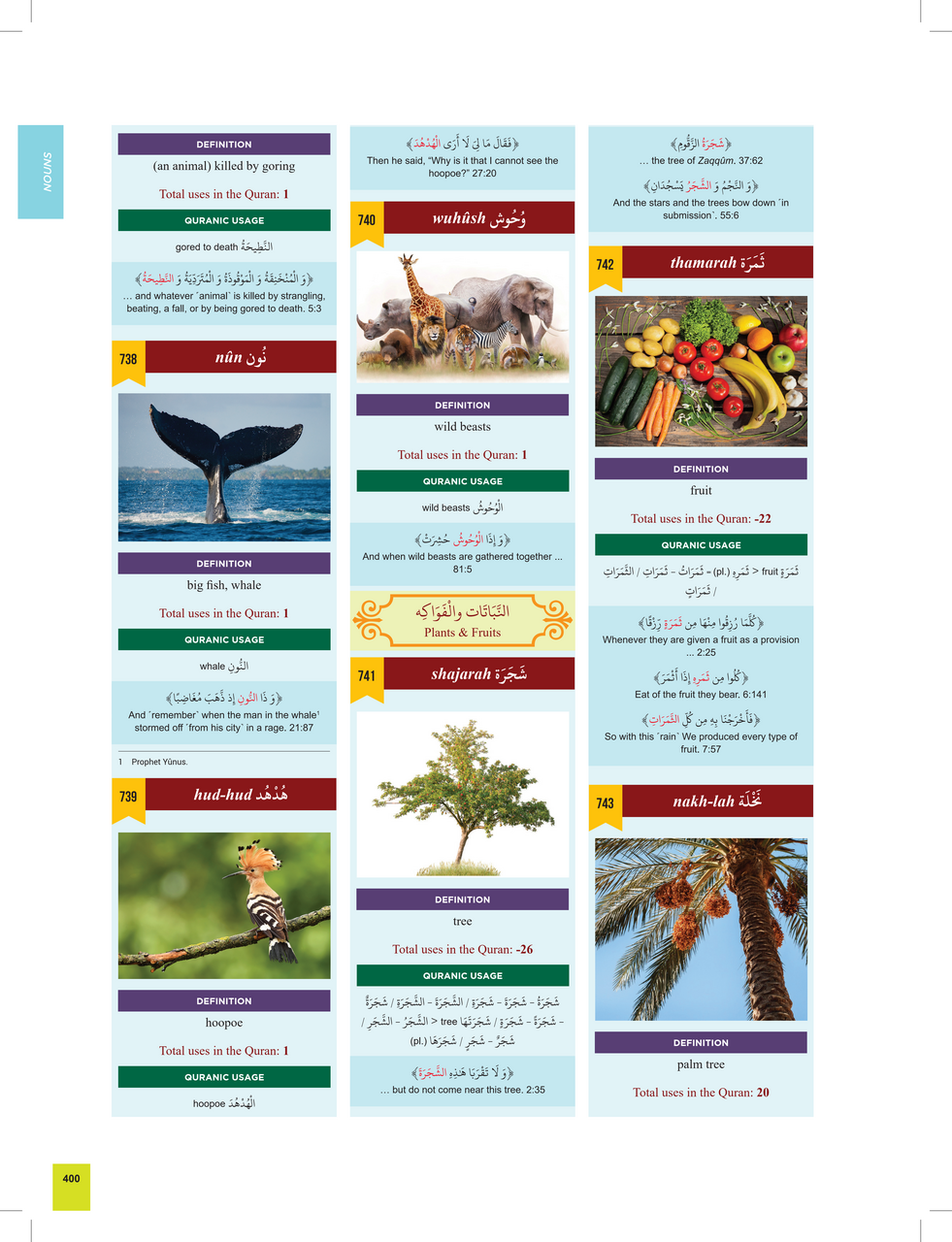 The Clear Quran® Series Dictionary